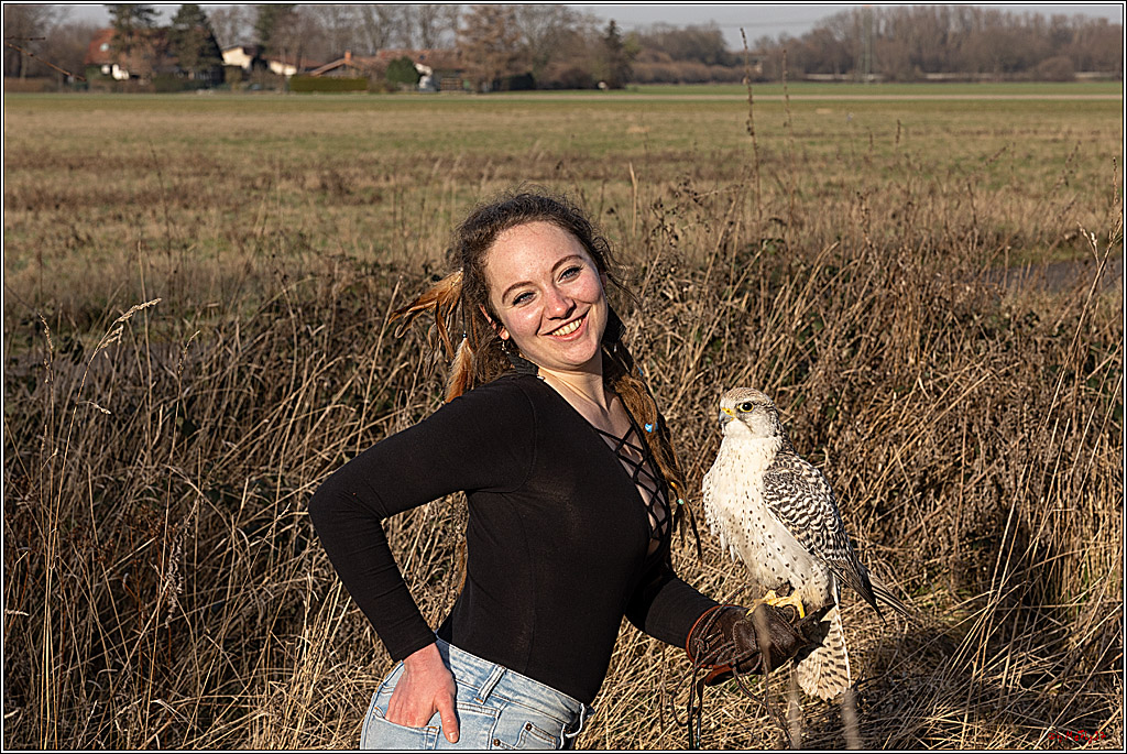 Cheyenne-Halbblut Hunting Wolf in der Falknerei Pierre Schmidt; Gymnich, 09.02.2023